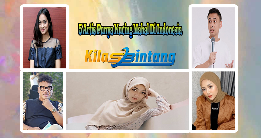 5 Artis Punya Kucing Mahal Di Indonesia